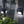 Load image into Gallery viewer, SOLAR LED WALL LIGHT