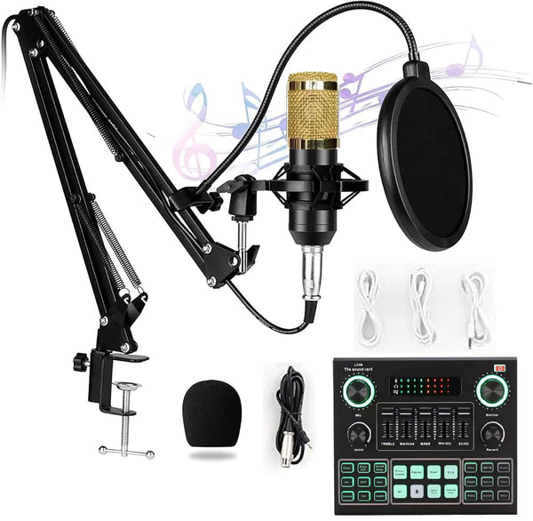 PROFESSIONAL PODCAST CONDENSER MICROPHONE SET