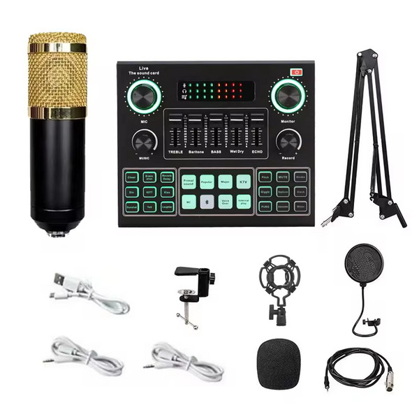 PROFESSIONAL PODCAST CONDENSER MICROPHONE SET