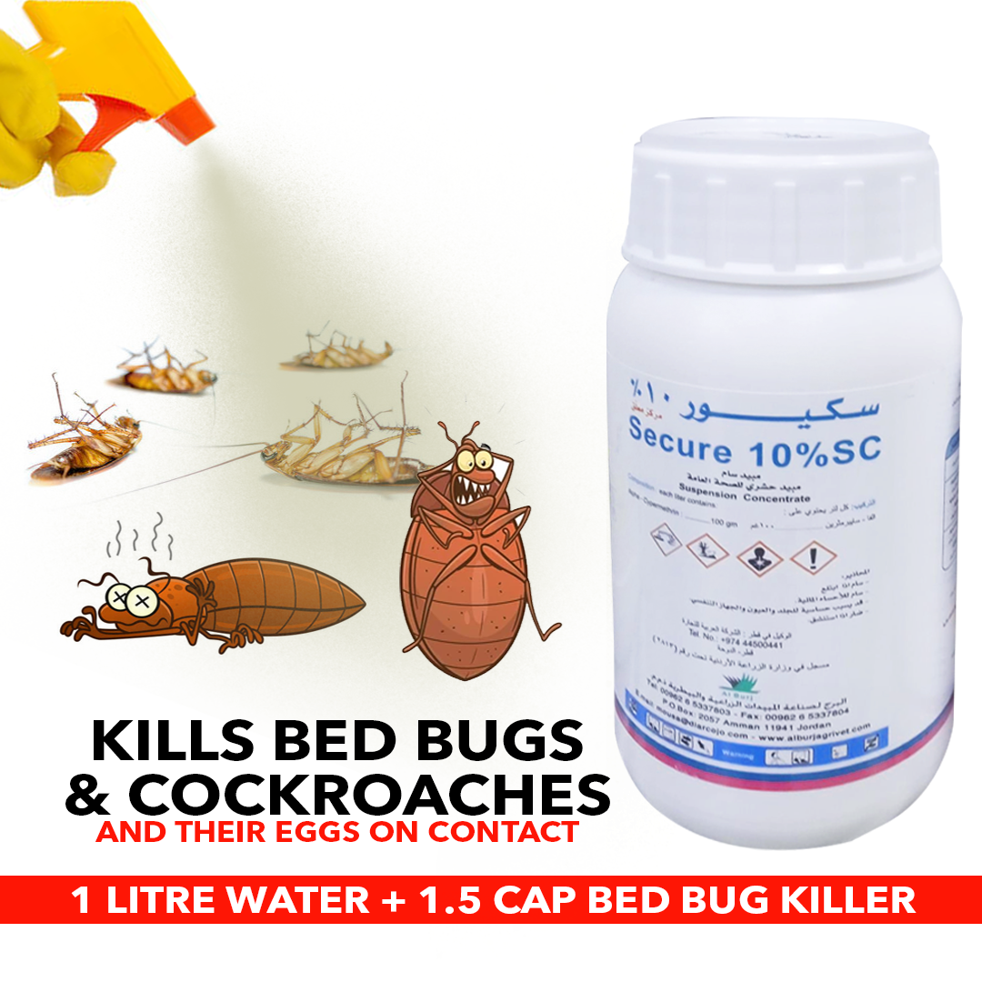 Can Cockroach Spray Kill Bed Bugs? Shocking Truth Revealed!