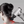 Load image into Gallery viewer, FASCIAL MASSAGE GUN
